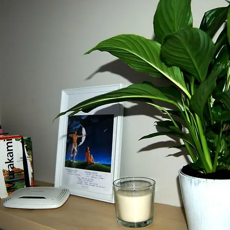 Friedleina 7 Kamienica Prezydencka Kraków