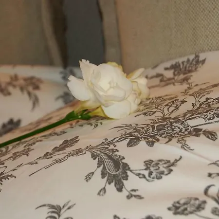 Apartament Friedleina 7 Kamienica Prezydencka